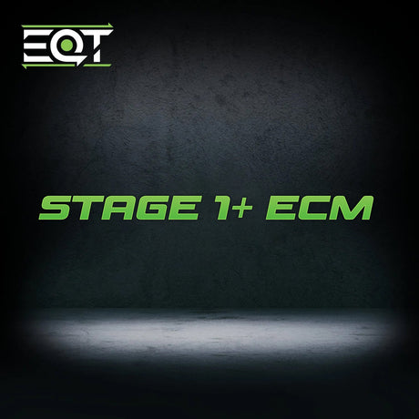 EQT Staged ECU Flex Fuel Tune - VW MQB GLI 2.0T (A7)